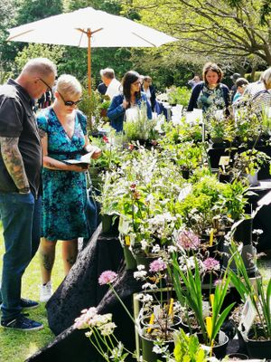 Plant Fair