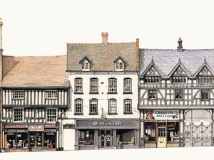 Supporting image for story: Mardol snapshot is latest stunning Shrewsbury Streetscape art