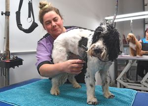 Owner Katie Durkin with Max the spaniel at Groom For Improvement dog groomers