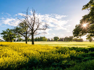 Supporting image for story: Farming subsidies are just a pat on back for rich landowners