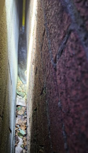 Sox trapped between two walls