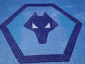 Supporting image for story: Wolves tourists still watch heroes on holiday