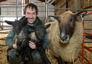 Supporting image for story