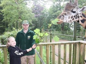 Supporting image for story: Close encounter for giraffe fan Ruby