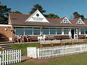 Supporting image for story: Debt we owe cricket pitch