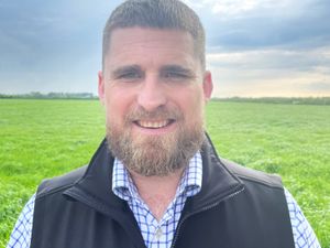 Supporting image for story: Peter lands role at Nettex  