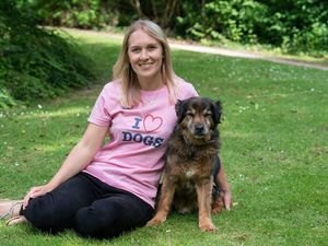 Supporting image for story