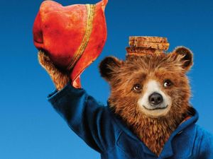 Supporting image for story: Free day at the flicks at Buffery Community Park