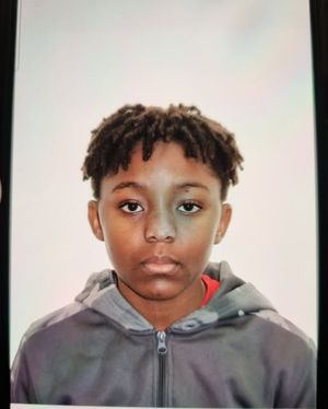 Have you seen this boy?