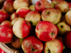 Supporting image for story: Crunch time as Apple Day is set to fill Oswestry streets and close roads in homage to the humble fruit