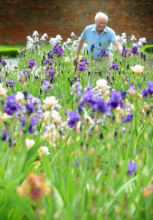 John Phillips, pictured in his walled kitchen garden full of irises in 2008