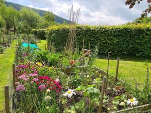 Supporting image for story: Community gardens celebrate after receiving lottery funding to help with development