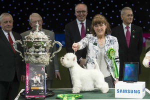 Supporting image for story: Crufts 2017: Watch the final day LIVE