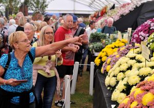 Shrewsbury Flower Show 2018