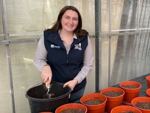 Supporting image for story: Shropshire Farming Talk: Trials on growth of winter wheat in a commercial farm setting