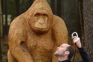 Go Ape