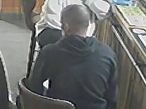 Supporting image for story: RSPCA appeal over claims dog 'hit and 'roughly handled' in Shrewsbury pub