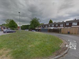 Supporting image for story: Police appeal for witnesses after cat shot in Telford 