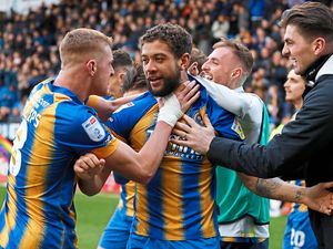 Supporting image for story: Shrewsbury Town seeing 'fruits of the labour' says boss Steve Cotterill