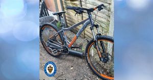 Supporting image for story