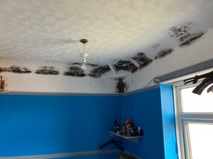 Mould in a child's bedroom at Kevin Smith's Stourbridge home. Picture Martyn Smith/LDRS free for LDRS use