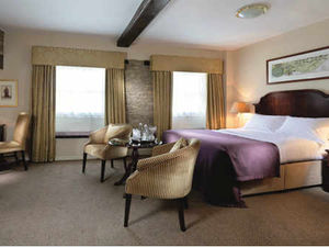 Supporting image for story: Travel review: Woodstock, Oxfordshire