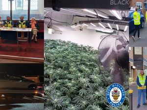 Supporting image for story: Cannabis farm uncovered and arrests made as Walsall policing teams crack down on crime