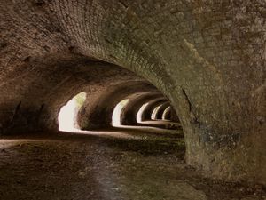 Supporting image for story: Heritage sites across Shropshire throw open their doors to visitors for free events 