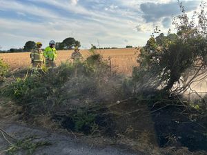 Supporting image for story: Quick-thinking farmer stops hedge fire near Bridgnorth escalating