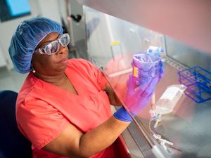 Supporting image for story: Bubble babies ‘cured’ by experimental gene therapy