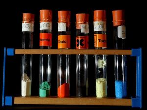 Supporting image for story: Cambridge Science Festival cancels hands-on events