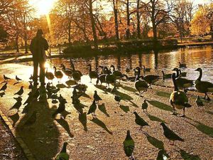 Supporting image for story: Wolverhampton pictures show city from a different point of view