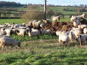 Supporting image for story: Peter Rhodes: Blowin' in the wind – your secrets