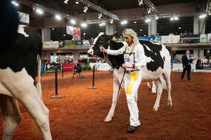 Parading at Telford International Centre