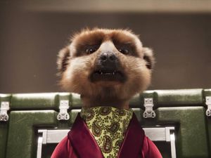 Supporting image for story: Compare the Market takes Russian meerkat TV adverts off the air during the news