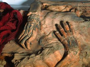 Supporting image for story: Lasers help archaeologists study ancient tattoos on Peruvian mummies