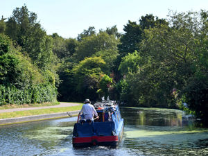Supporting image for story: 12-hour thunderstorm warning issued as temperatures continue to climb