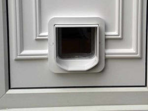 Supporting image for story: Burglar breaks into Penkridge house via the cat flap