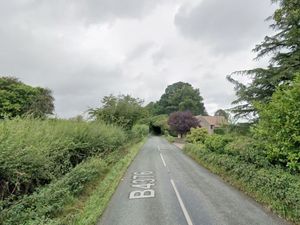 Supporting image for story: Driver, 20, arrested after teenage passenger dies in Much Wenlock crash