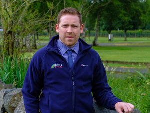 Supporting image for story: Say hello - I'd like to meet local farmers