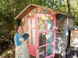 Supporting image for story:  Shed of the Year: Hedgehog hospital from Ludlow nominated for award - with pictures