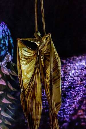 Cirque du Soleil OVO. Pictures by: Chris Bowley