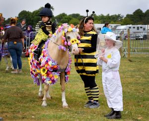 This team are buzzing with creativity at the 2025 Burwarton Show - featuring a blooming brilliant entry in the mounted fancy dress competition
