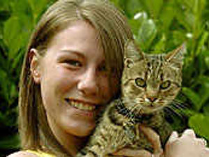 Supporting image for story: Cat's moving adventure