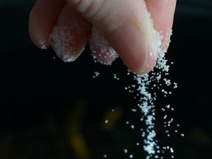 Supporting image for story: Simple saltwater solution ‘could help reduce early coronavirus symptoms’