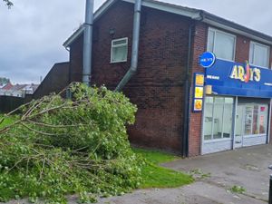 Supporting image for story: Narrow escape for couple as tree falls down in blustery weather in Telford