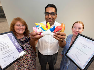 Supporting image for story: More than 2,000 illegal toys seized by Wolverhampton trading standards