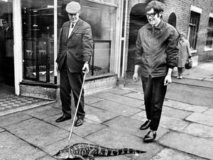 Supporting image for story: Mouth-watering drama as one snapper met another in the streets of Walsall