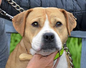 Princess is 'friendly