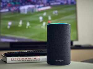 Supporting image for story: Alexa, is it coming home?